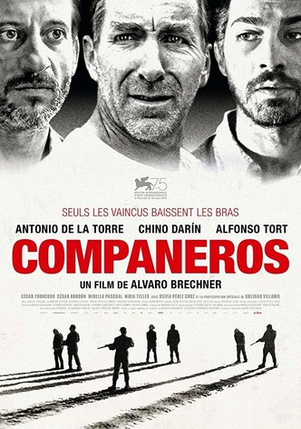 Compañeros