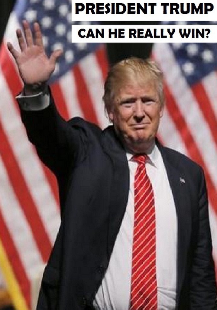 President Trump: Can He Really Win?