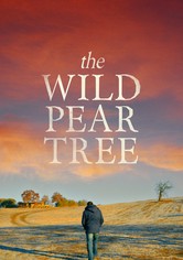 The Wild Pear Tree