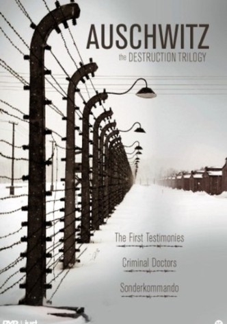 Auschwitz the Destruction Trilogy