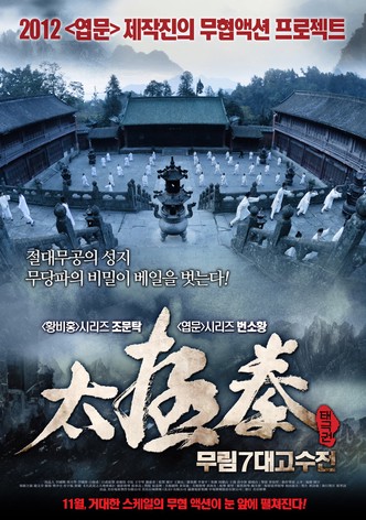 태극권: 무림7대고수전