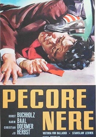 Pecore nere