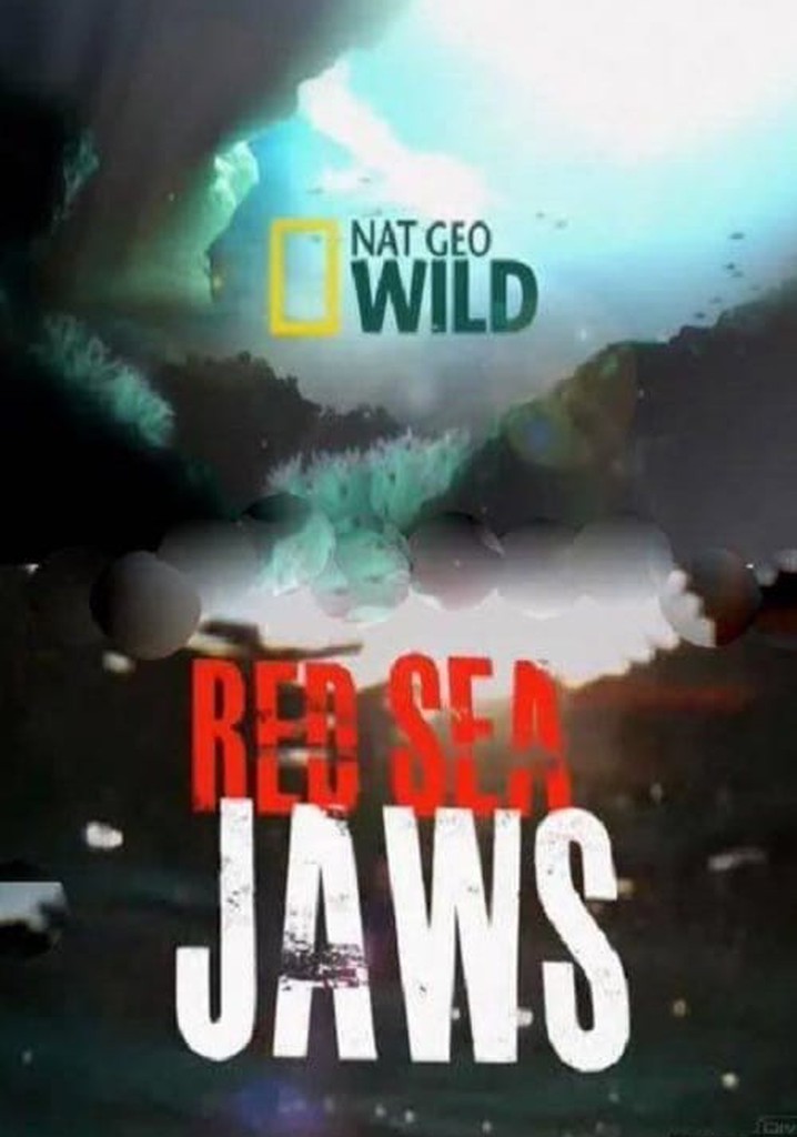 Red Sea Jaws