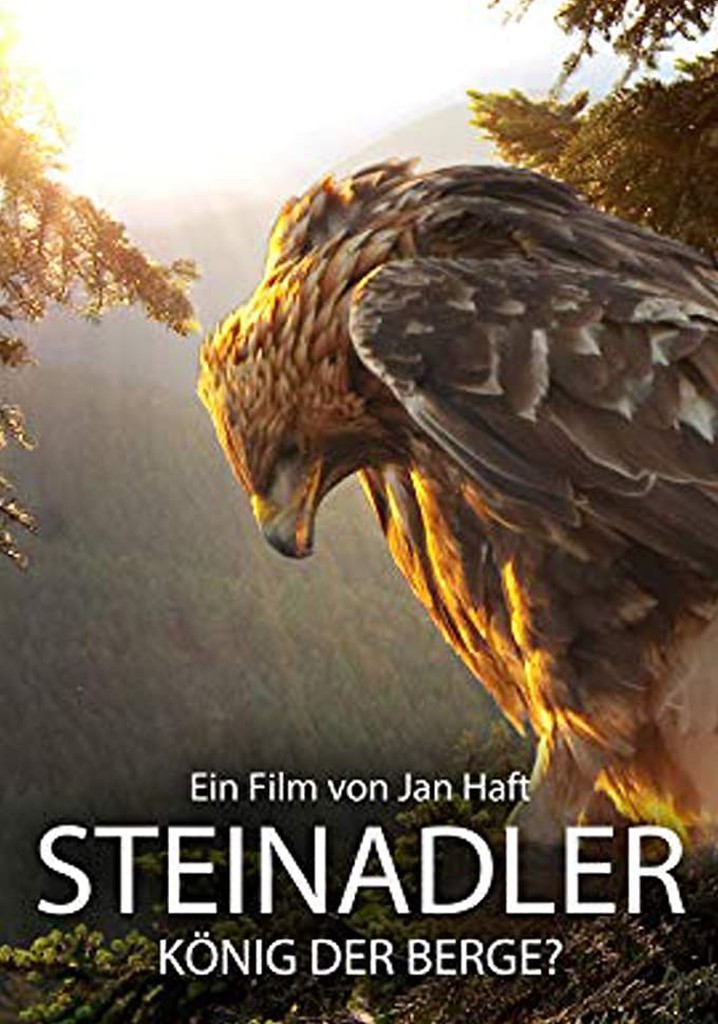 Steinadler - König der Berge