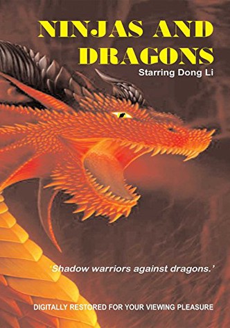 Ninjas and Dragons