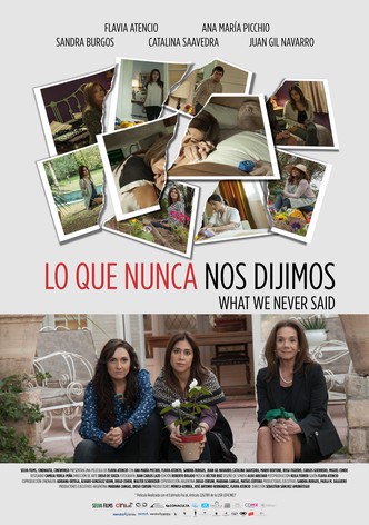 What We Never Said
