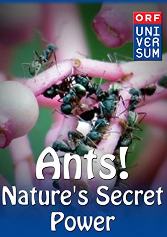 Ants - Nature's Secret Power