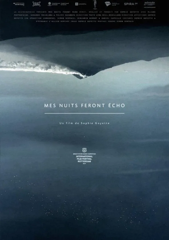 Still Night, Still Light 動画配信
