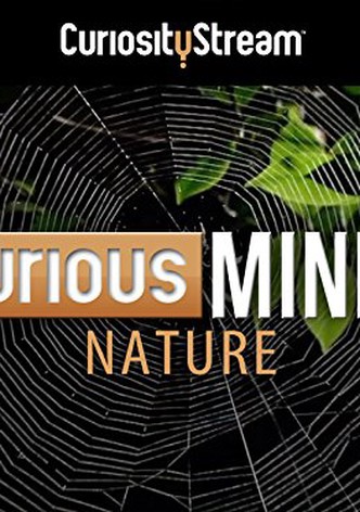 Curious Minds:  Climate Change