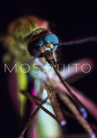 Mosquito - Tödliche Gefahr