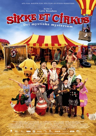 What a Circus!