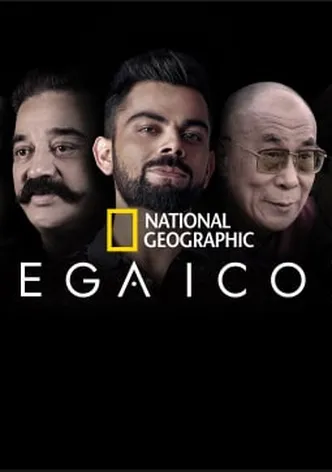 Mega Icons poster