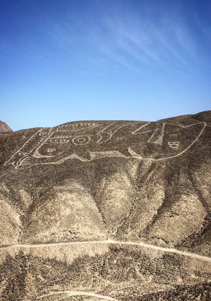 Nazcas, les lignes qui parlaient au ciel