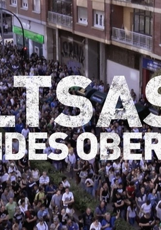 Altsasu: ferides obertes