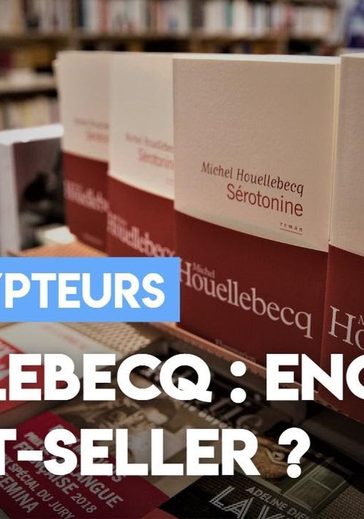 Houellebecq: encore un best-seller?