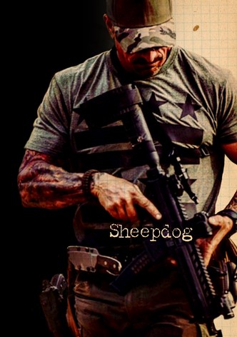Sheepdog