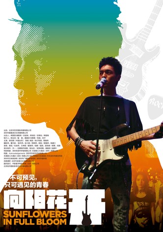 Sunflowers in full bloom