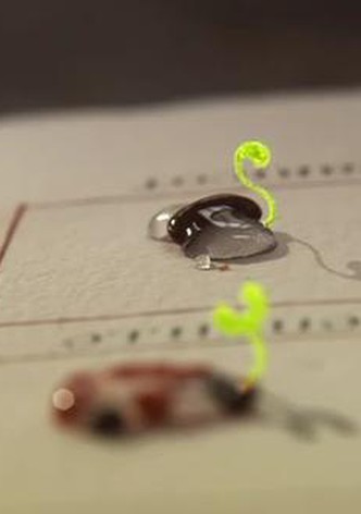 Les 4 saisons d'Antoine