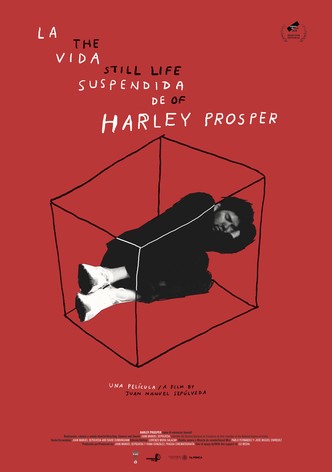 The Still Life of Harley Prosper