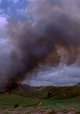 These Ways I Transgress