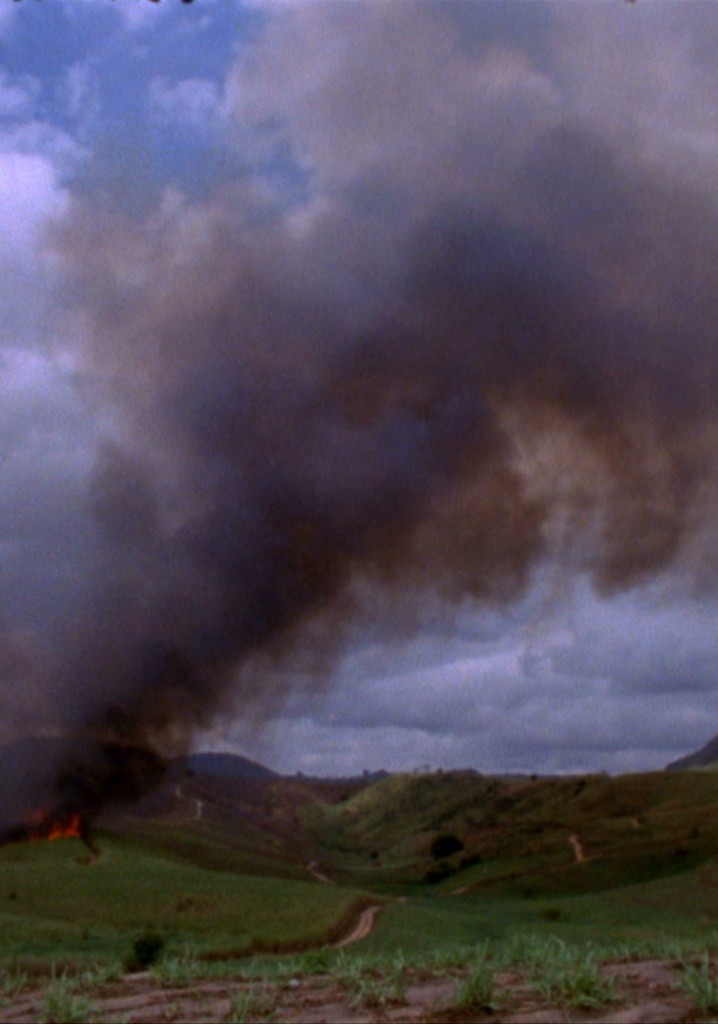 These Ways I Transgress