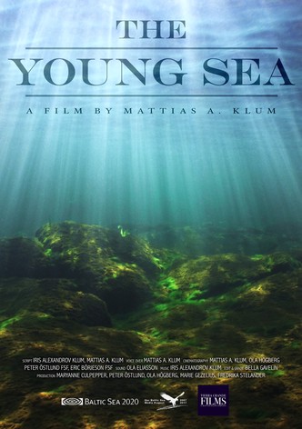 The Young Sea