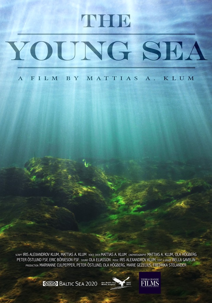 Seas young. At the Sea movie.