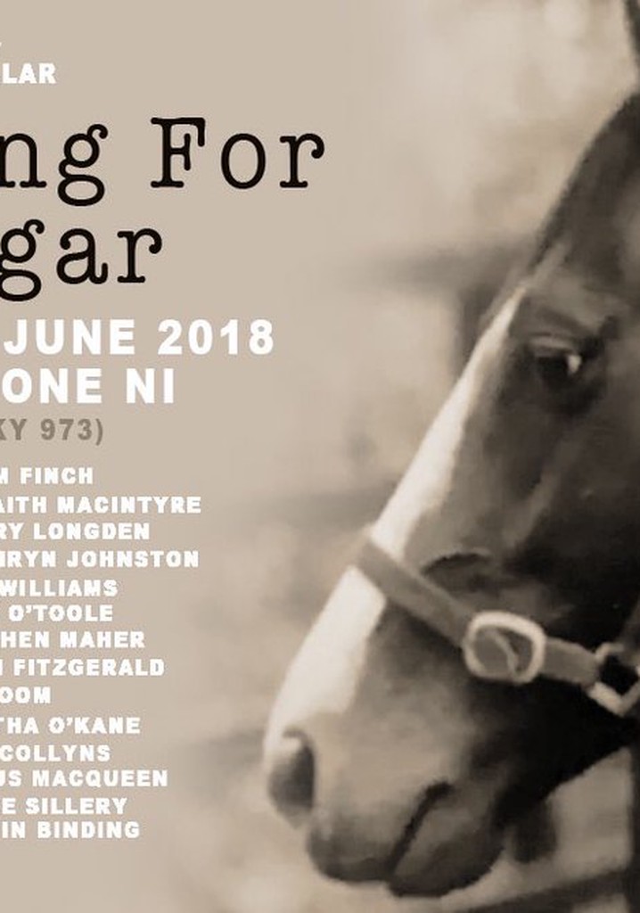 Searching for Shergar