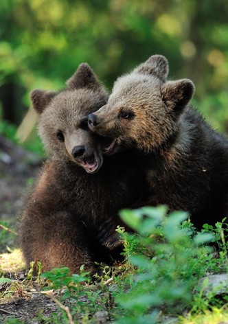 Baby Animals Around the World