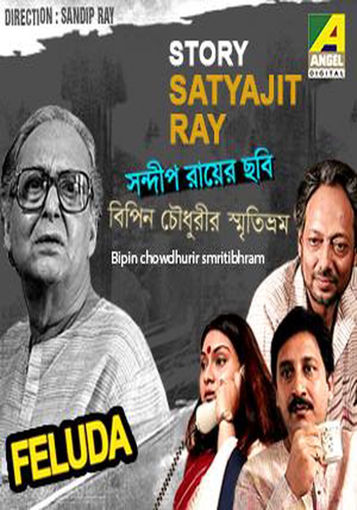 Bipin Choudhurir Smritibhram