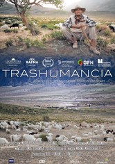 Transhumance