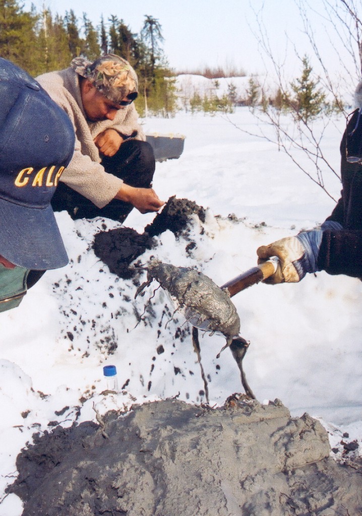 Heavy Metal: A Mining Disaster in Northern Quebec