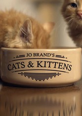Jo Brand's Cats & Kittens