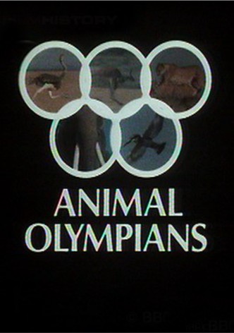Animal Olympians