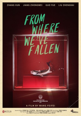 From Where We've Fallen