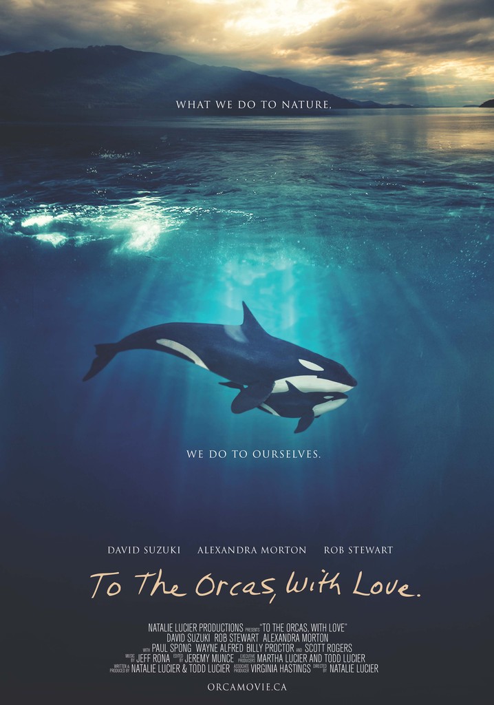 To the Orcas with Love