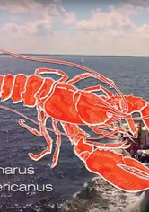 Lebensmittel auf dem Prüfstand