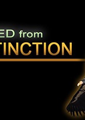 Saved from Extinction