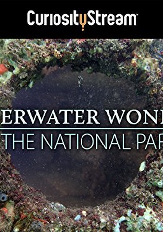 Underwater Wonders Of The National Parks