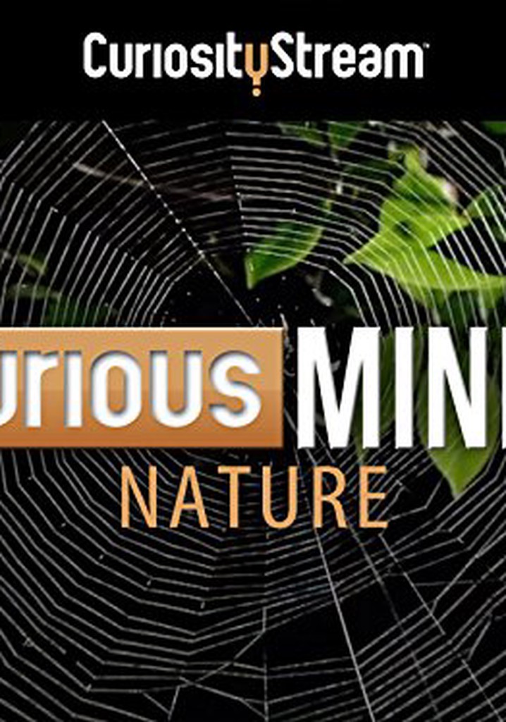 Curious Minds Animals Streaming Tv Series Online Curious Minds Animals Streaming Tv Series Online