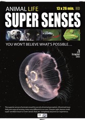 Super Senses