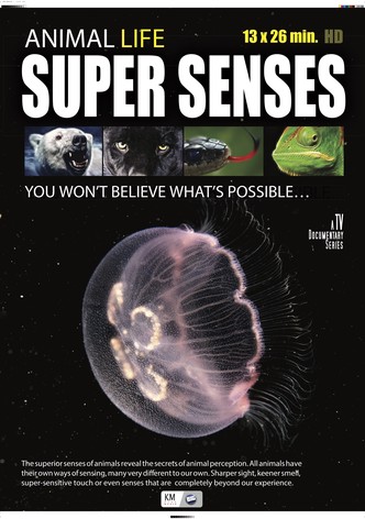 Super Senses