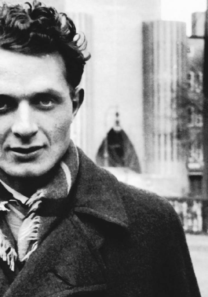 A Sad Flower in the Sand