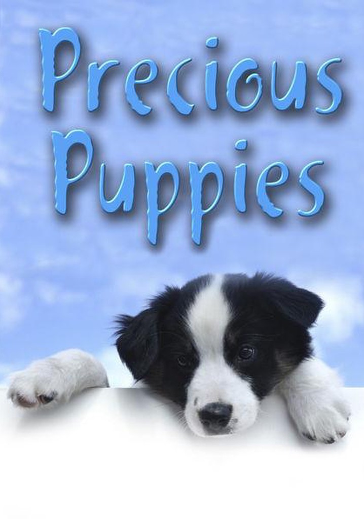 Precious Puppies - movie: watch streaming online