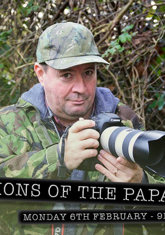 Confessions of the Paparazzi