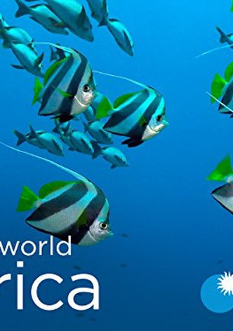 Waterworld Africa