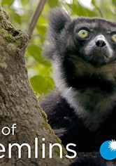 A Incrível Madagascar