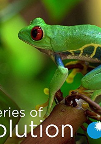 Mysteries of Evolution