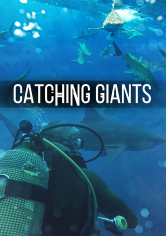 Catching Giants: Zambezi Shark