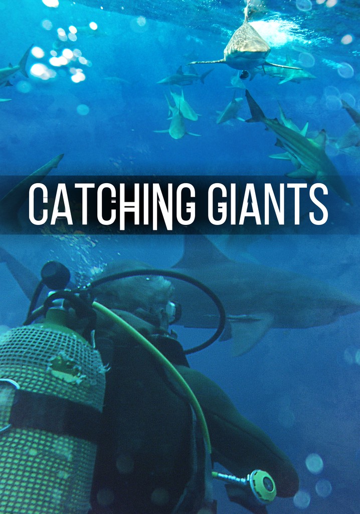 Catching Giants: Zambezi Shark